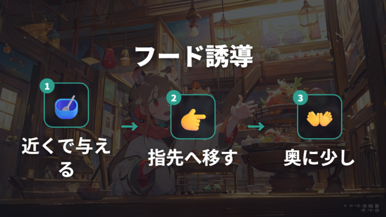 手の上で安心させる慣らし方はフードの置き方で進める