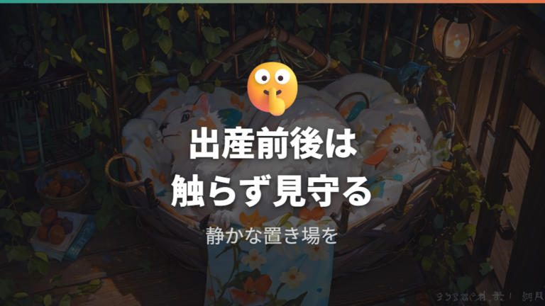 出産後にしてはいけない世話は触る・掃除・覗き込み