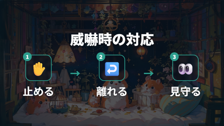 威嚇されたときの対処法は触らず距離を取ることから始める