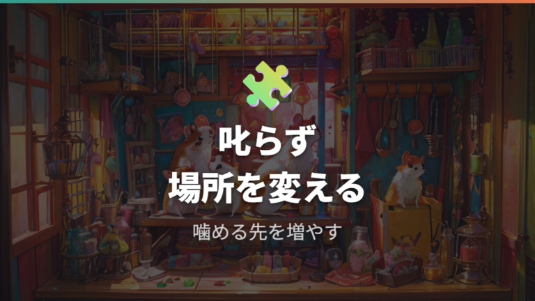 ケージを噛ませない対策は反応より環境改善を優先する