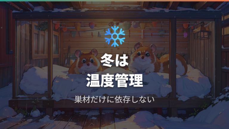 綿なしでできる冬の寒さ対策は温度管理が中心