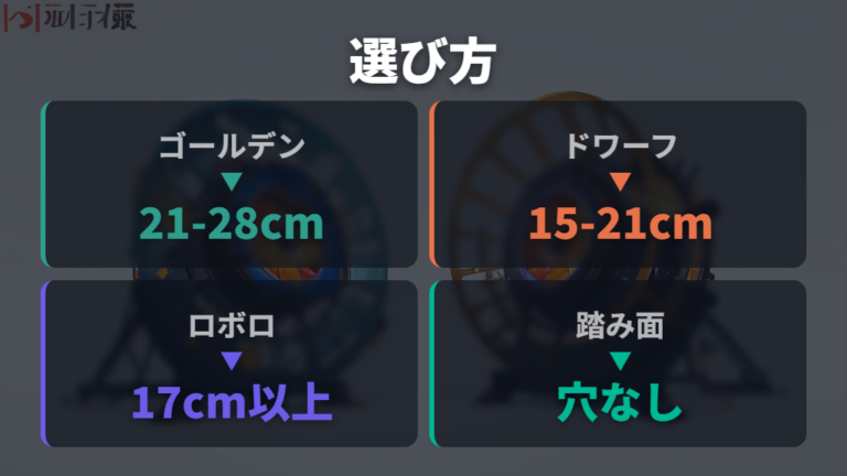 安全な回し車の選び方はサイズと隙間を優先する