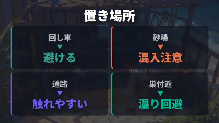 小皿で水を与える時の注意点は置き場所にも出る