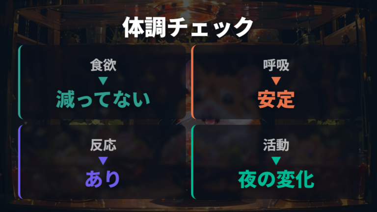 体調不良を疑う寝方のサインは食欲や呼吸と合わせる