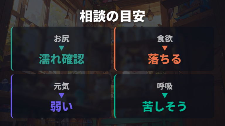 受診を考える症状の目安はお尻の濡れと食欲で見る