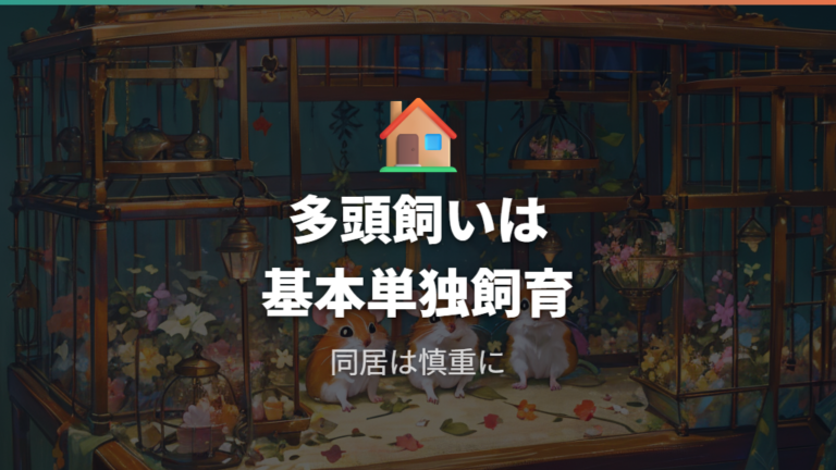 多頭飼いで喧嘩を防ぐ方法は基本を単独飼育に置く