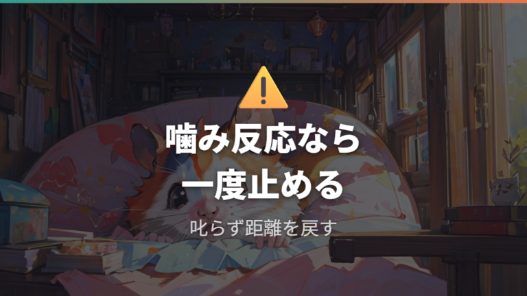 噛む逃げる隠れる時の対処法は叱らず一度止める