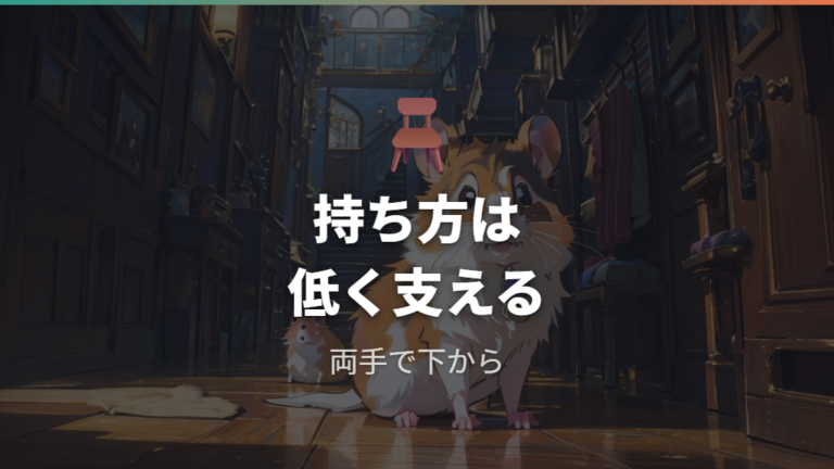 手の上で寝かせるときの注意点は持ち方と低い姿勢