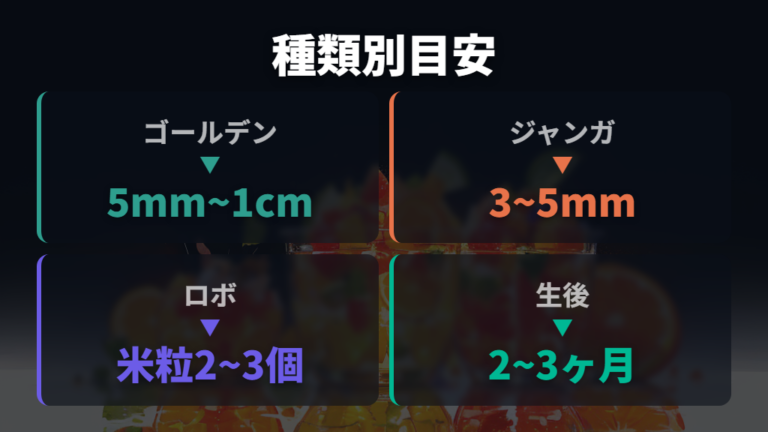 種類別に見るバナナの量は体格差でさらに小さくする