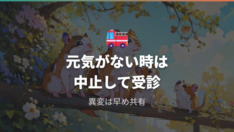 カシューナッツを食べた後に元気がないときはどうする?