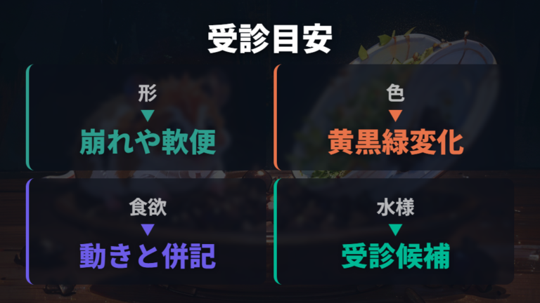 うんちの異常と受診目安は色・柔らかさ・元気で見る