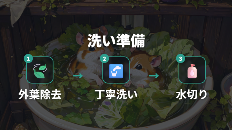 外葉や傷んだ部分を避けて水洗いと水切りをする