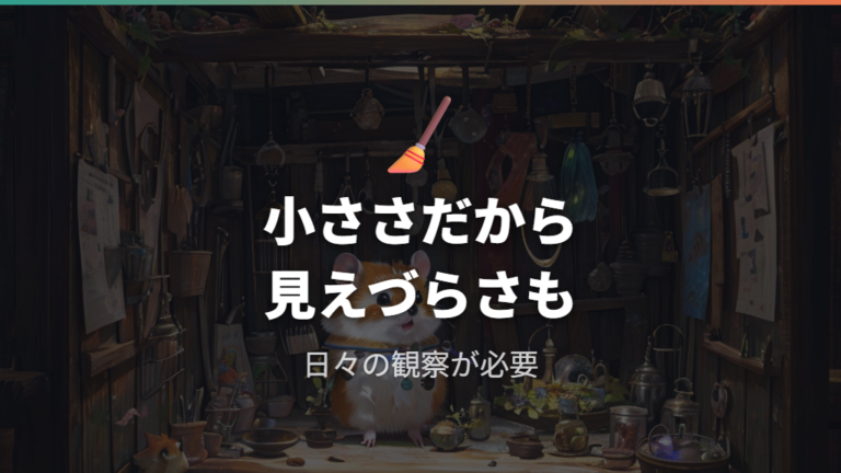 小さな体で飼う前に知りたい注意点