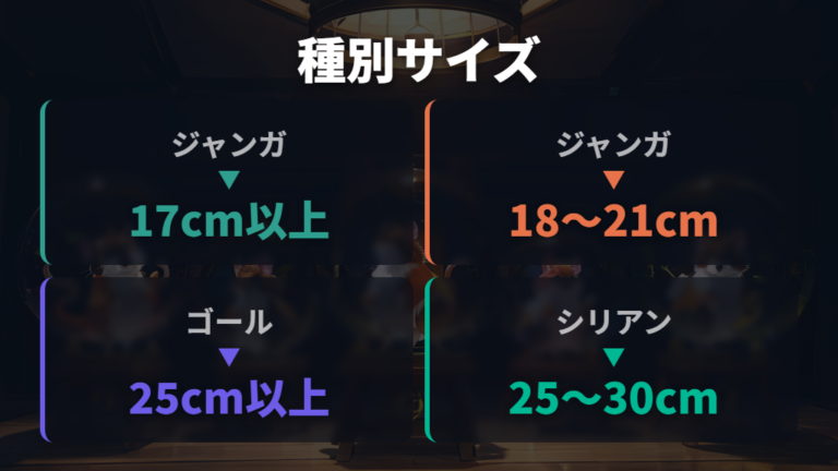 体格に合うサイズの選び方を比較する