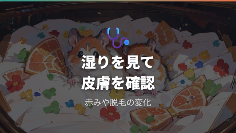尿汚れで起きる健康リスクは皮膚とお腹側を観察する
