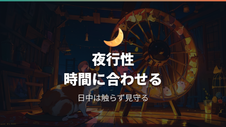 触ってよい時間帯と睡眠習性は活動の変化で見る