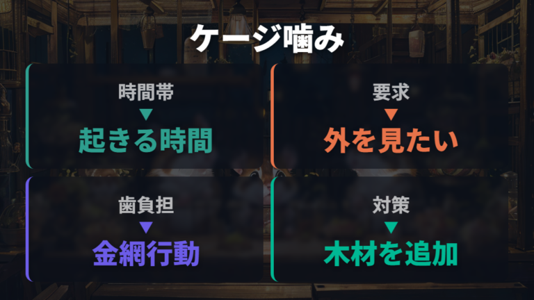 ケージを噛むストレスサインは環境と歯の負担を見直す