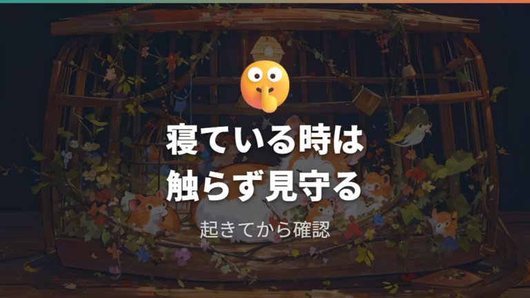 寝ているときの接し方は触らず静かに見守るのが基本
