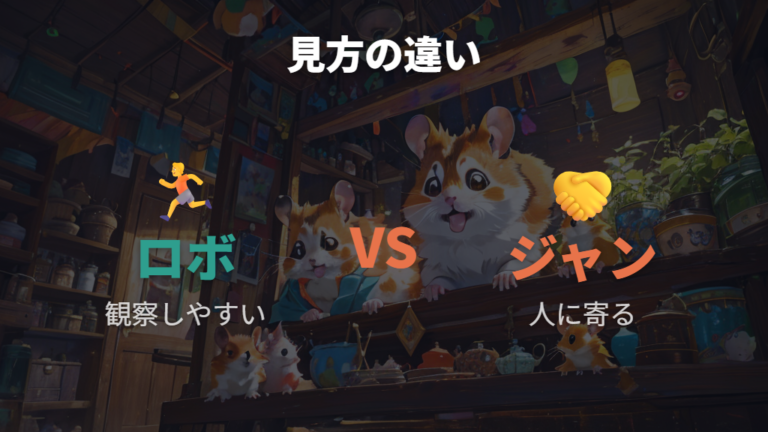 ジャンガリアンとのかわいさの違いを比べる