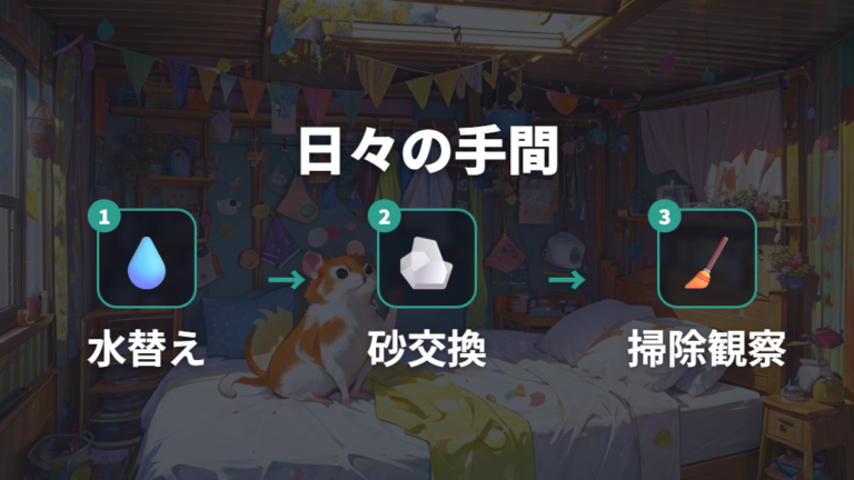 自作ケージに必要な条件は掃除と観察のしやすさにもある