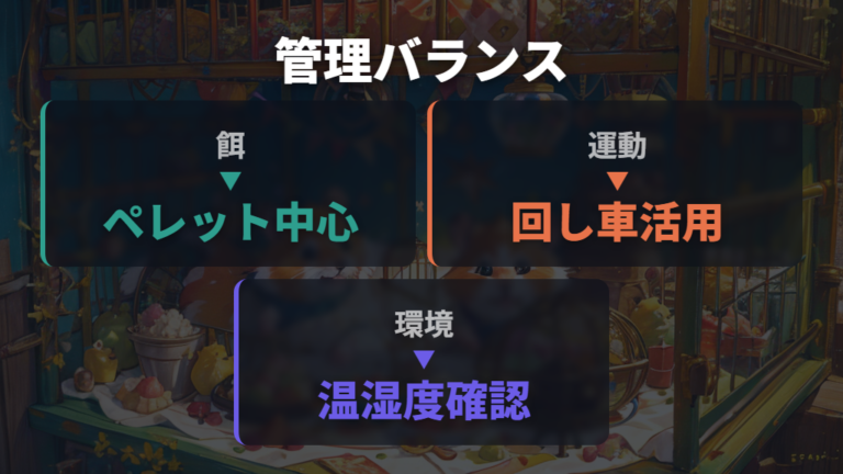 太りやすさを抑える食事と運動環境を整える