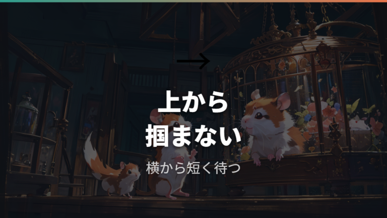 上から掴まない接し方で警戒を減らす