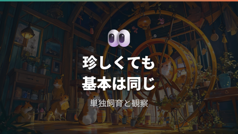 毛色に関係なく基本の飼育環境は同じように整える