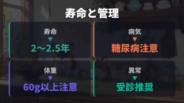 寿命と病気の違いは糖尿病と体重管理を中心に見る