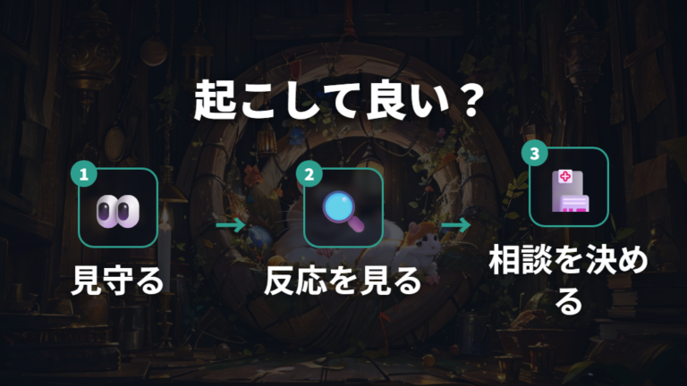 寝ているハムスターを起こしてもいいかを判断する