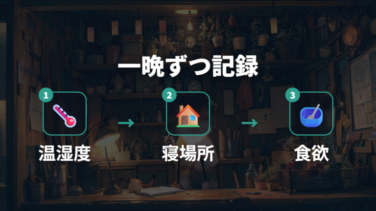 寝床環境の見直しポイントを一晩ずつ記録する