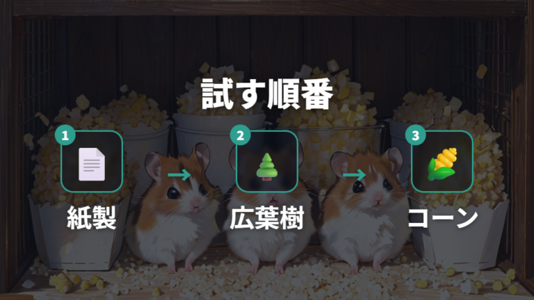 紙製・広葉樹・コーンを試す順番を決める