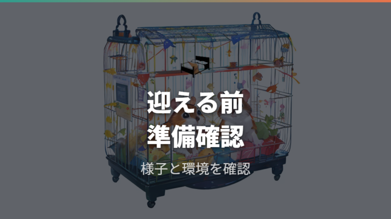 初心者に向く種類を選ぶ前にショップで確認したいこと