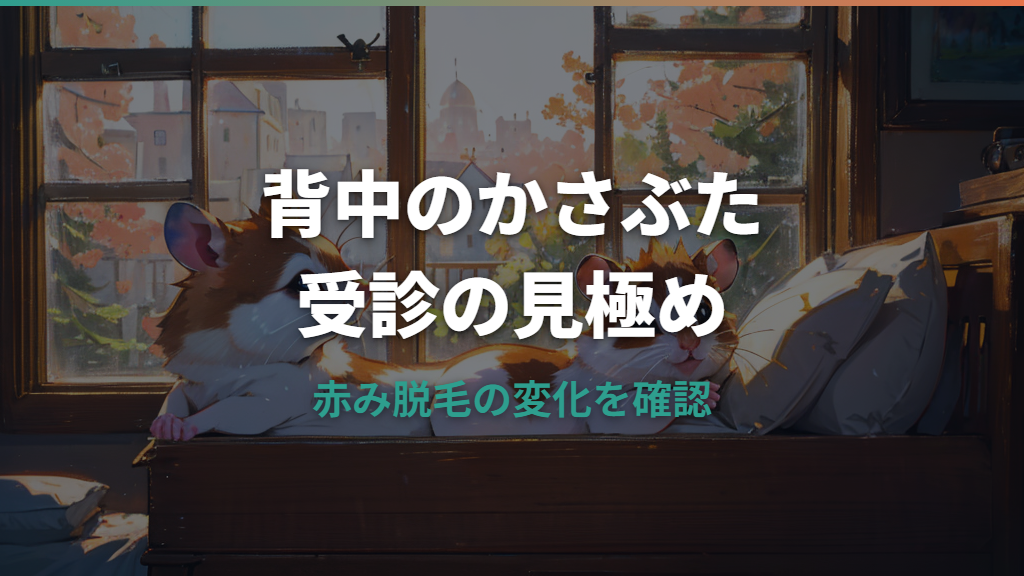 ハムスターの背中のかさぶたは病院へ行くべき？原因と自宅ケアの注意点