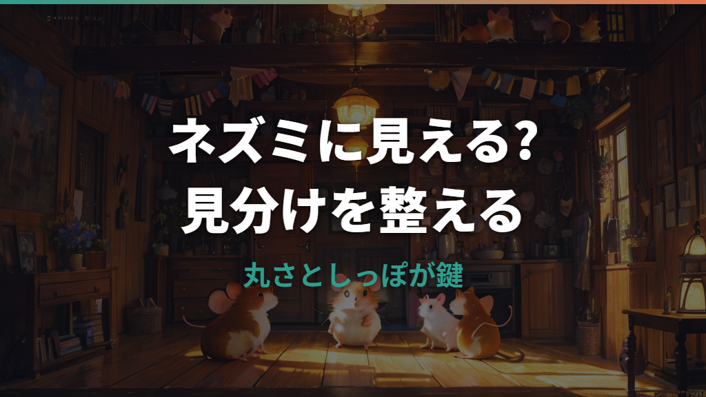 ハムスターがネズミにしか見えない時の見分け方と違い