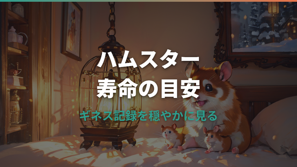 ハムスターの年齢ギネスは何歳？最高齢記録と人間換算をわかりやすく解説