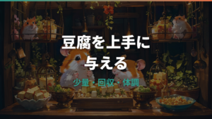 ハムスターに豆腐は大丈夫?適量・頻度・下痢を防ぐ与え方