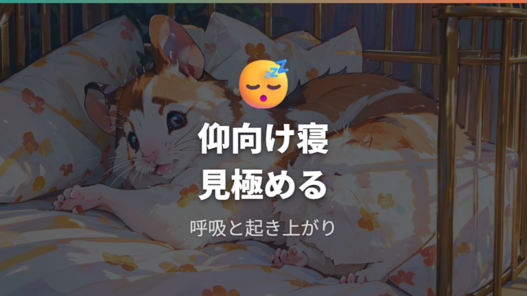 仰向け寝は普段通り起きるかをまず見る