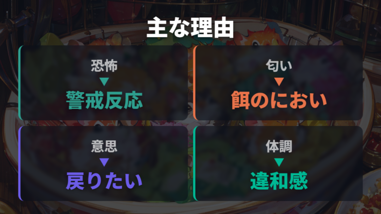 手や指を噛む主な理由は恐怖・匂い・意思表示に分かれる