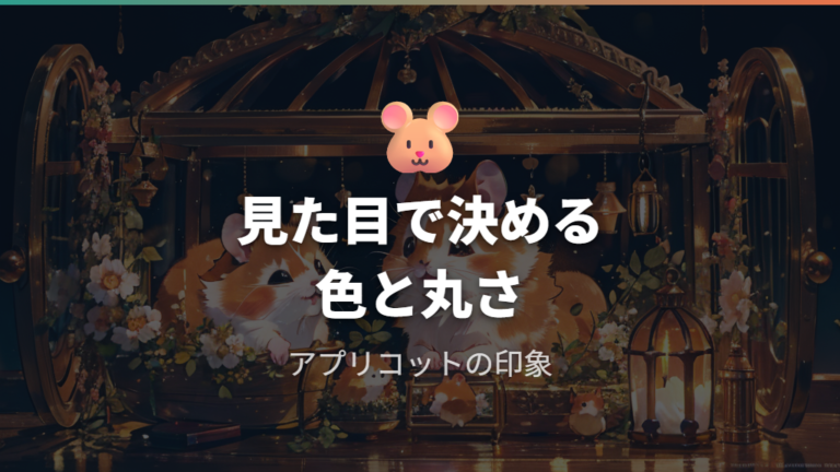 キンクマに似合うかわいい名前は色と丸さから考える