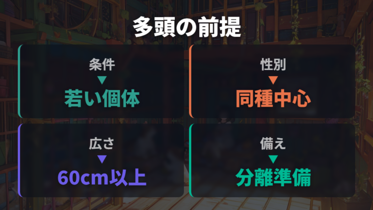 多頭飼いできる条件と限界を先に押さえる