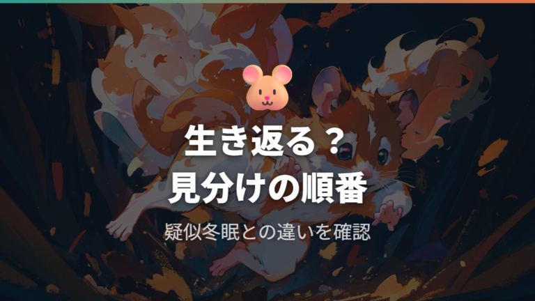 死後硬直後に生き返る可能性はあるのか