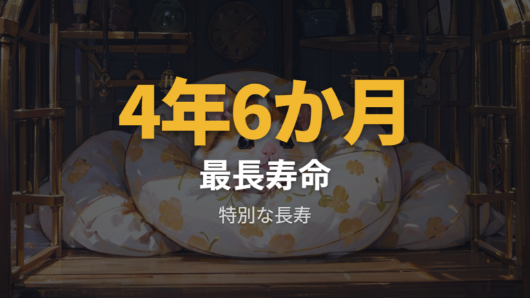 ハムスターの長寿記録は4年6か月として語られることが多い
