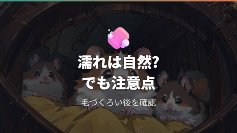 臭腺が濡れて見える理由をまず押さえる