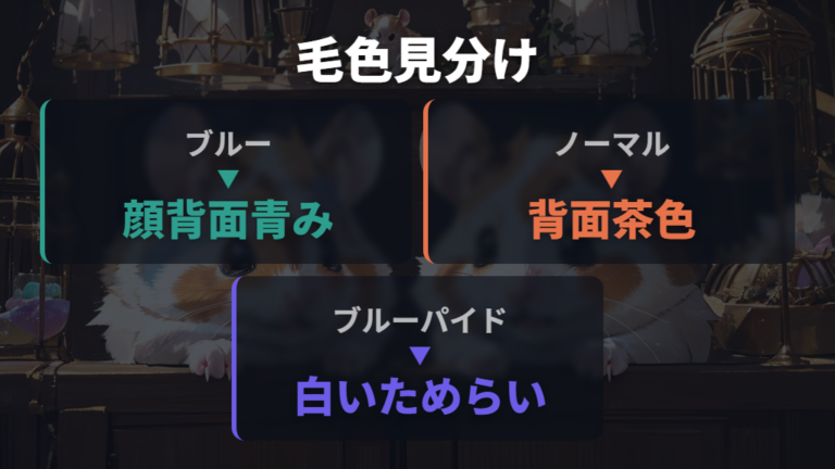 販売店のブルー・ノーマル・ブルーパイド表記を見る