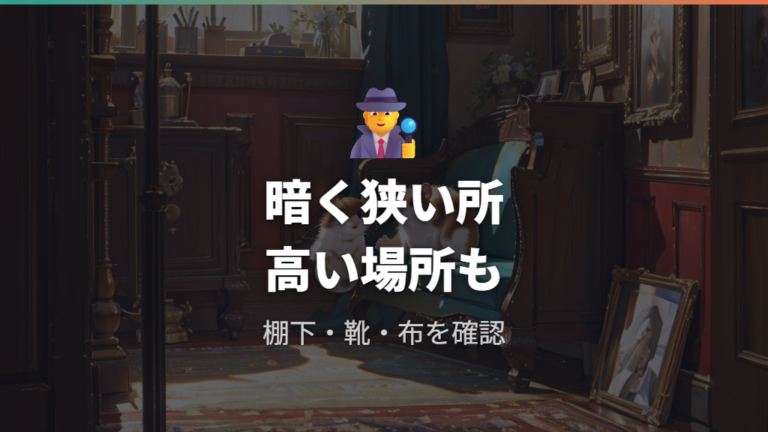 隠れやすい場所の探し方は暗く狭く暖かい所から