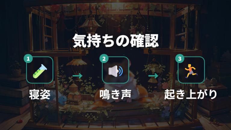 寝方でわかるハムスターの気持ちは本当?