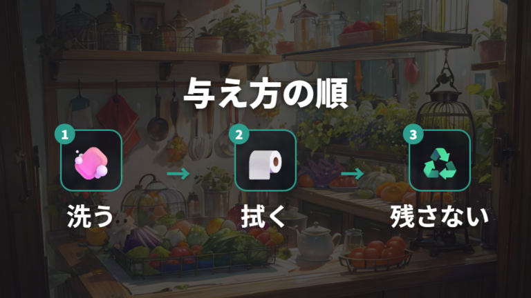 野菜の頻度と与え方の基本は洗う・拭く・残さない
