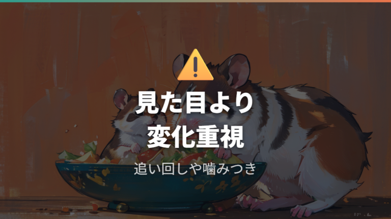 失敗例から見る多頭飼いの注意点はどこか