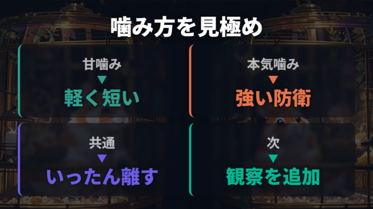 甘噛みと本気噛みで心理を見分ける
