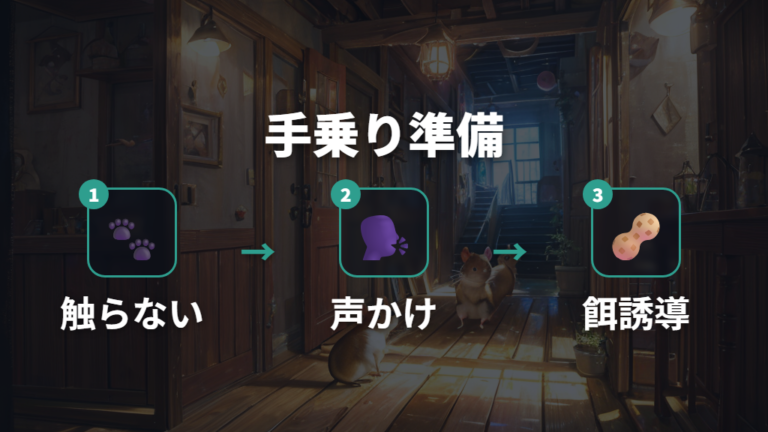 手乗りまでの慣らし方は順番を飛ばさない